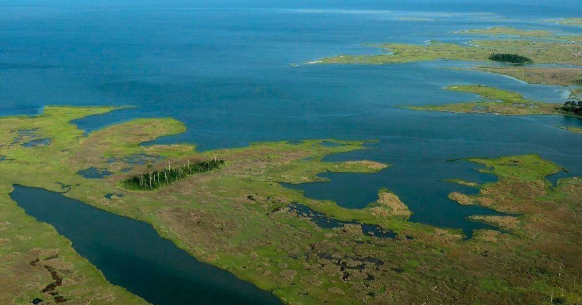 Warming climate will impact dead zones in Chesapeake Bay University